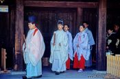 Travel photography:Tradition wedding company at the Meiji Shrine in Tokyo, Japan