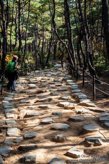 Namsan mountain path