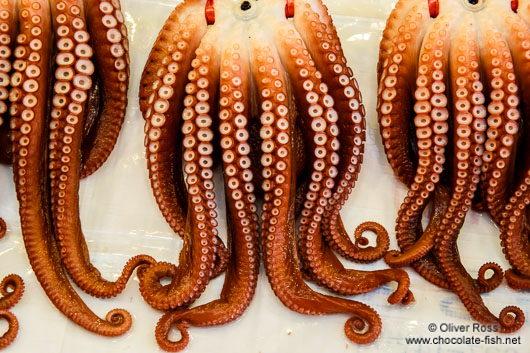 Octopus for sale at Gyeongju market