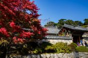 Travel photography:Bulguksa Temple, South Korea