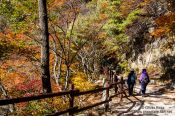 Travel photography:Hikers near Seokguram Grotto, South Korea