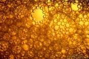 Travel photography:Bubbles in a beer bottle