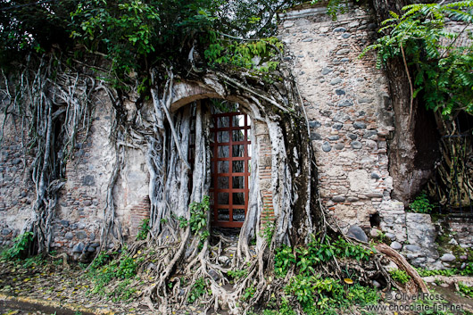 Overgrown ruins of the original house of  Hernán Cortés in La Antigua