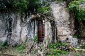 Travel photography:Overgrown ruins of the original house of  Hernán Cortés in La Antigua, Mexico