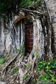Travel photography:Overgrown ruins of the original house of  Hernán Cortés in La Antigua, Mexico