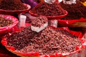 Travel photography:Selling crickets at the Oaxaca market, Mexico