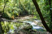 Travel photography:Tropical rainforest near Palenque, Mexico