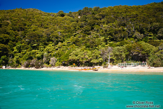 Beach in Abel Tasman National Park