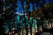 Travel photography:Turquoise waters in Abel Tasman National Park, New Zealand