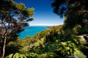 Travel photography:Abel Tasman National Park, New Zealand