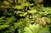 Travel photography:Fiordland National Park, New Zealand