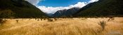 Travel photography:Landscape near Lake Rotoiti, New Zealand