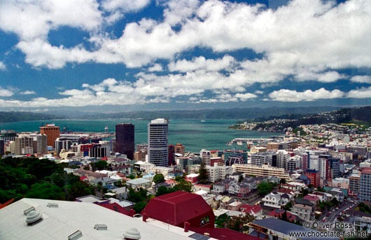 Panorama of Wellington City