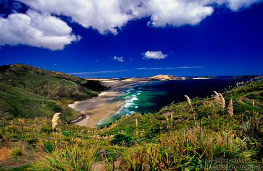 Cape Maria van Diemen with Te Werahi beach