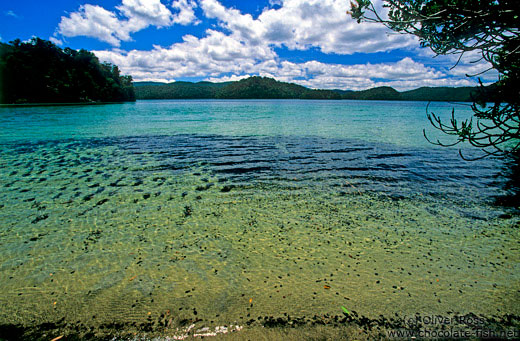 Lake Waikareiti in Te Urewera Ntl Park