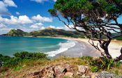 Travel photography:Beach on Great Barrier Island, New Zealand