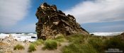 Travel photography:Honeycomb Rock on the Wairarapa coastline, New Zealand