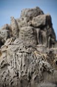 Travel photography:Sculpted rock near Honeycomb Rock on the Wairarapa coast, New Zealand