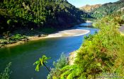 Travel photography:Whanganui River, New Zealand