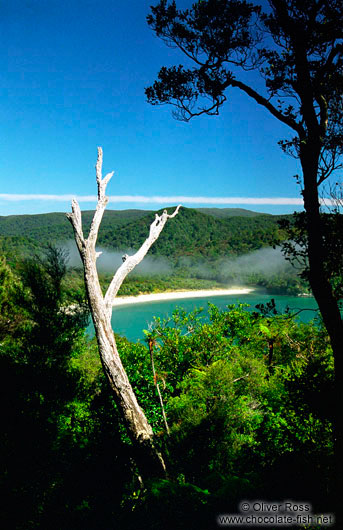 View from the Northern Circuit on Stewart Island