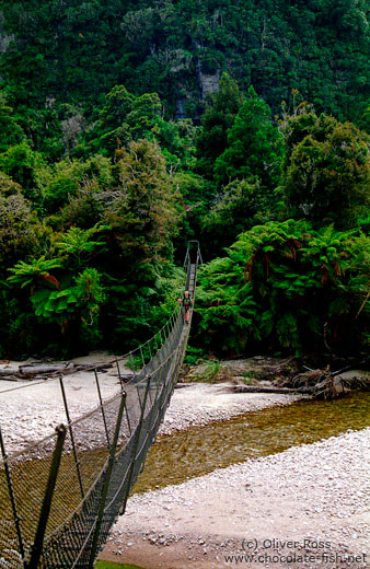3-wire bridge across a stream on the Heaphy Track