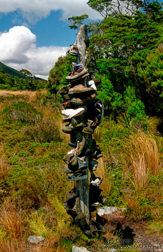Hikers pole on the Heaphy Track