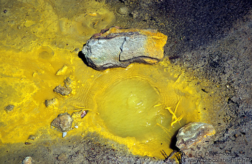 Close-up of a yellow mudpool in the Waiotapu thermal area