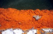 Travel photography:Close-up of the minerals in the Champagne Pool in Waiotapu, New Zealand