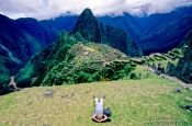 Travel photography:Taking a nap at Machu Picchu, Peru