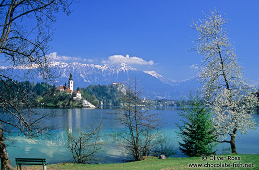 View of island and Bled Castle with Blejsko jezero (Bled lake) and the Slovenian Alps in the background
