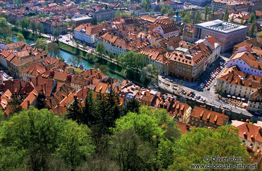 Aerial view of the old town in Ljubljana
