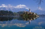 Travel photography:Island with church and Bled Castle reflected in Blejsko jezero (Bled lake) with the Slovenian Alps in the background, Slovenia