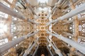 Travel photography:Barcelona Sagrada Familia ceilling 180° panorama, Spain
