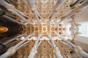 Travel photography:Barcelona Sagrada Familia ceilling, Spain