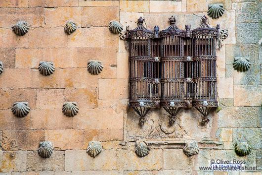 Facade detail of the Casa de las Conchas in Salamanca