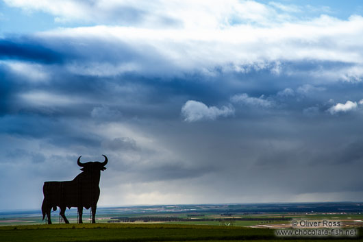 A Spanish bull stands proud in the Castilian landscape near Segovia
