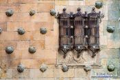 Travel photography:Facade detail of the Casa de las Conchas in Salamanca, Spain