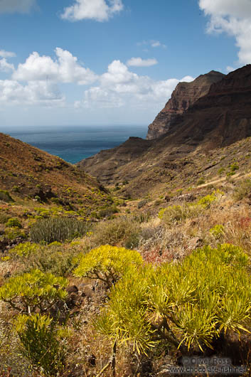 Landscape on Gran Canaria