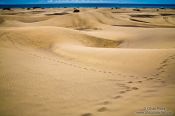 Travel photography:Tracks in the sand dunes at Maspalomas on Gran Canaria, Spain