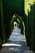 Travel photography:Labyrinth garden in the Generalife of the Granada Alhambra, Spain