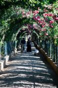 Travel photography:Gardens at the Generalife of the Granada Alhambra, Spain