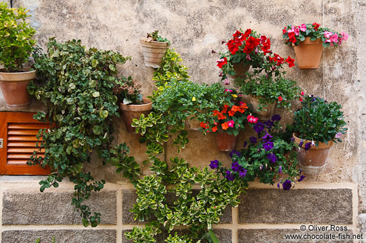 Flowers at a house in Valldemossa village