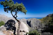 Travel photography:Panoramic view in the Serra de Tramuntana mountains, Spain