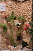 Travel photography:Flowers in the street of Valldemossa village, Spain