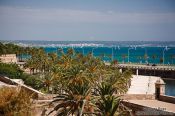 Travel photography:View of Palma harbour, Spain