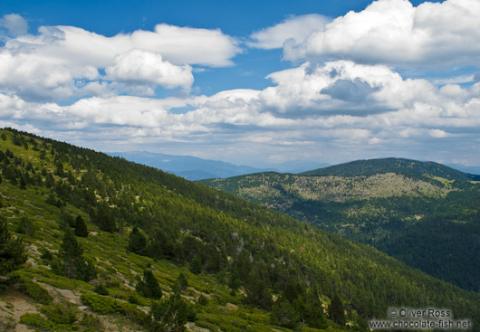 Landscape in the Alto Pirineo National Park