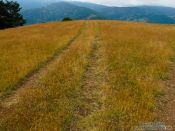 Travel photography:Tire tracks in the Alto Pirineo National Park, Spain
