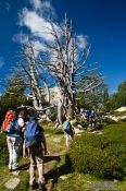 Travel photography:Hikers near the Pic de Bastiments, Spain