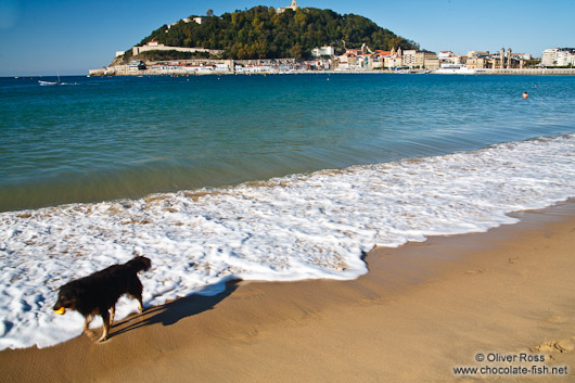 A dog takes a walk on la Concha beach in San Sebastian