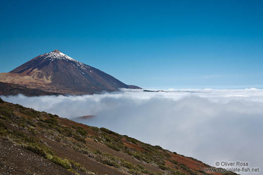View of the Teide Volcano rising above a sea of clouds